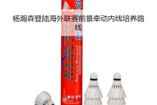 杨瀚森登陆海外联赛前景牵动内线培养路线